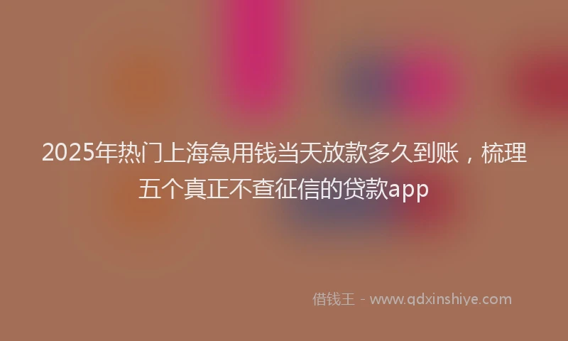 2025年热门上海急用钱当天放款多久到账，梳理五个真正不查征信的贷款app
