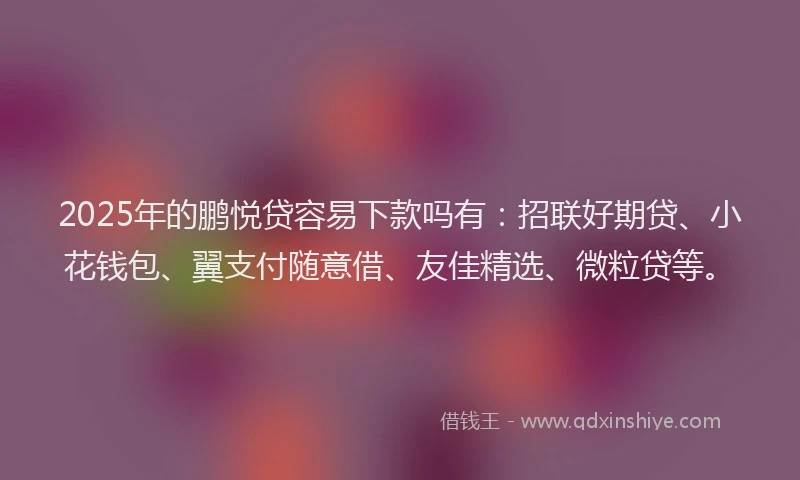 2025年的鹏悦贷容易下款吗有：招联好期贷、小花钱包、翼支付随意借、友佳精选、微粒贷等。