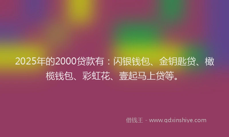 2025年的2000贷款有：闪银钱包、金钥匙贷、橄榄钱包、彩虹花、壹起马上贷等。