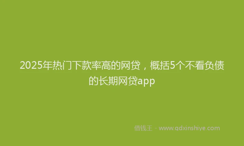 2025年热门下款率高的网贷，概括5个不看负债的长期网贷app