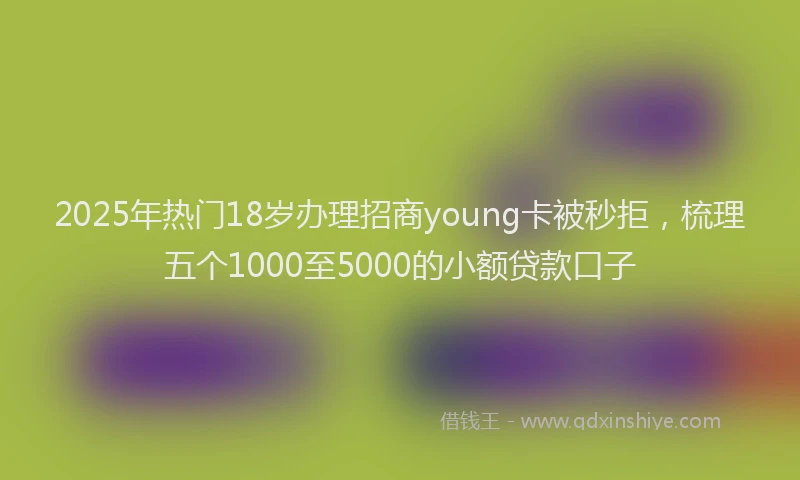 2025年热门18岁办理招商young卡被秒拒，梳理五个1000至5000的小额贷款口子