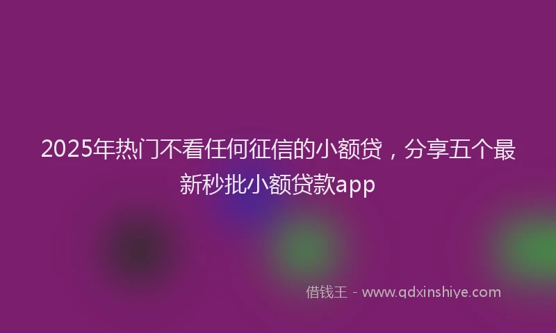 2025年热门不看任何征信的小额贷，分享五个最新秒批小额贷款app