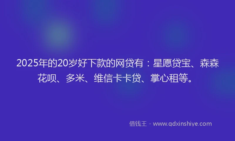 2025年的20岁好下款的网贷有：星愿贷宝、森森花呗、多米、维信卡卡贷、掌心租等。