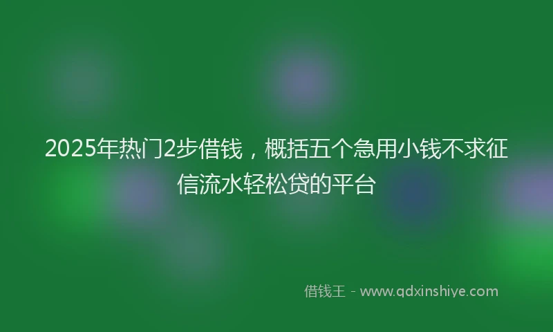 2025年热门2步借钱，概括五个急用小钱不求征信流水轻松贷的平台