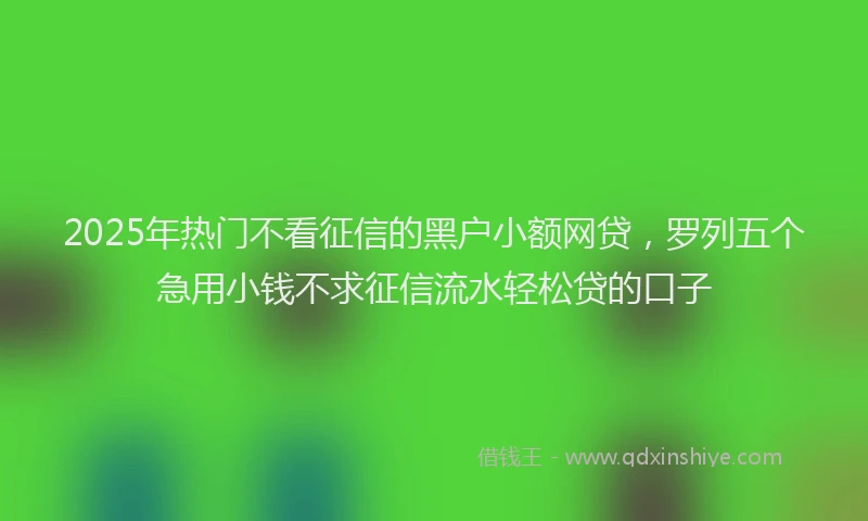 2025年热门不看征信的黑户小额网贷，罗列五个急用小钱不求征信流水轻松贷的口子