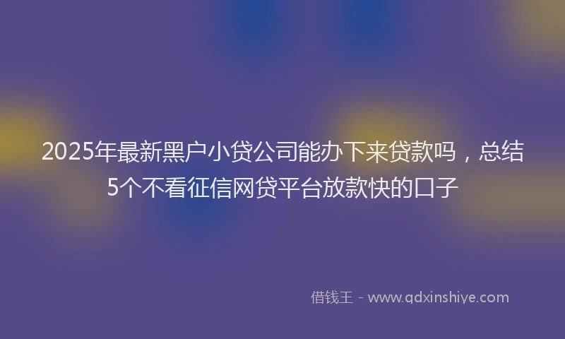 2025年最新黑户小贷公司能办下来贷款吗，总结5个不看征信网贷平台放款快的口子