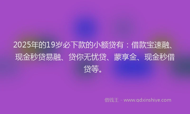 2025年的19岁必下款的小额贷有：借款宝速融、现金秒贷易融、贷你无忧贷、蒙享金、现金秒借贷等。