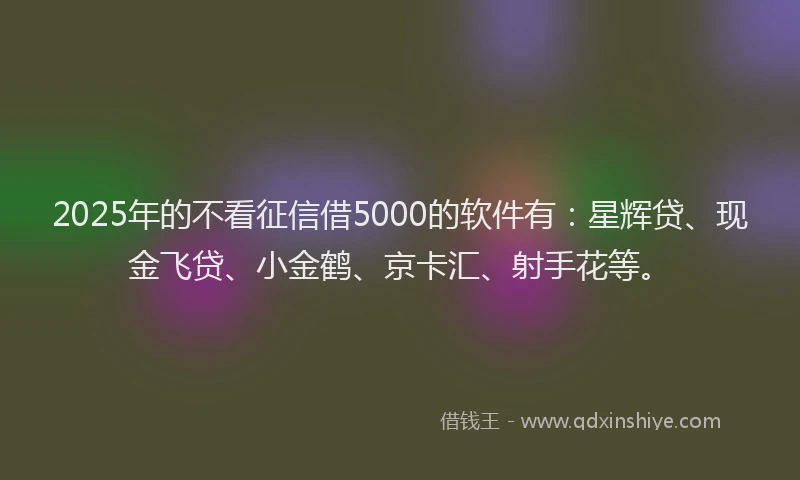 2025年的不看征信借5000的软件有：星辉贷、现金飞贷、小金鹤、京卡汇、射手花等。