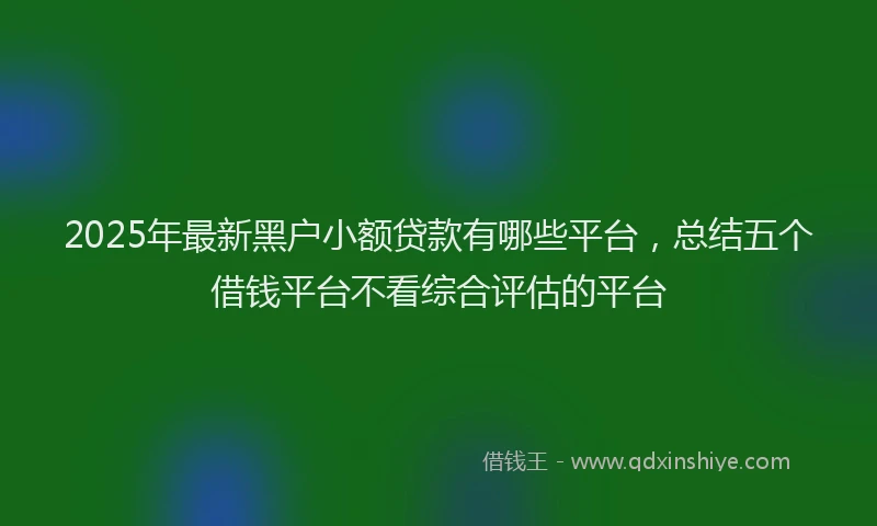 2025年最新黑户小额贷款有哪些平台，总结五个借钱平台不看综合评估的平台