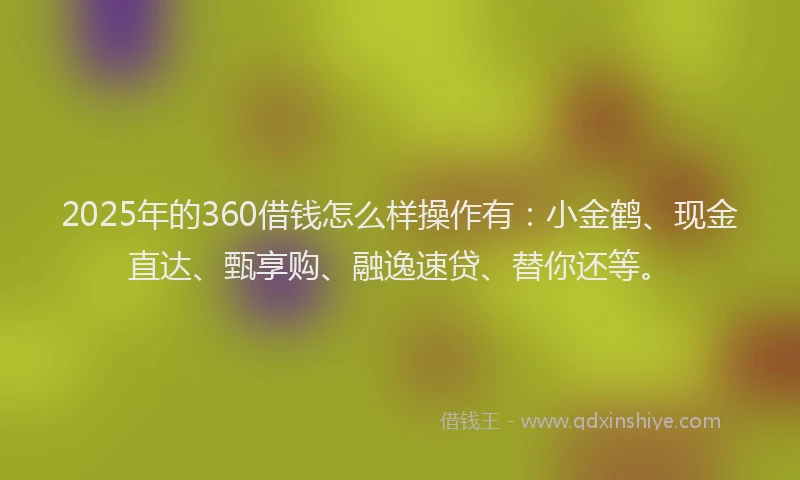 2025年的360借钱怎么样操作有：小金鹤、现金直达、甄享购、融逸速贷、替你还等。