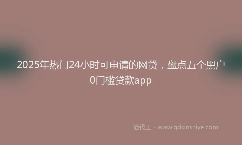 2025年热门24小时可申请的网贷，盘点五个黑户0门槛贷款app