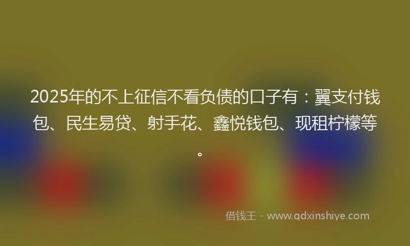 2025年的不上征信不看负债的口子有：翼支付钱包、民生易贷、射手花、鑫悦钱包、现租柠檬等。