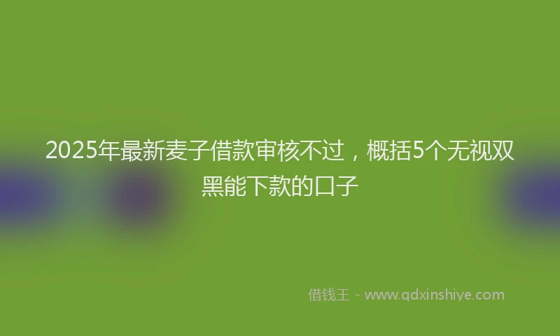 2025年最新麦子借款审核不过，概括5个无视双黑能下款的口子