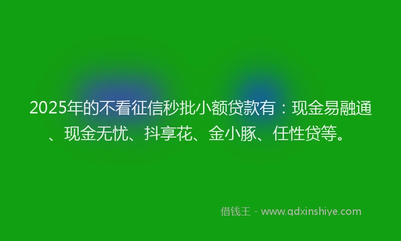 2025年的不看征信秒批小额贷款有：现金易融通、现金无忧、抖享花、金小豚、任性贷等。