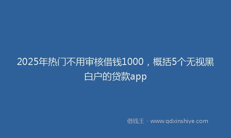 2025年热门不用审核借钱1000,概括5个无视黑白户的贷款app