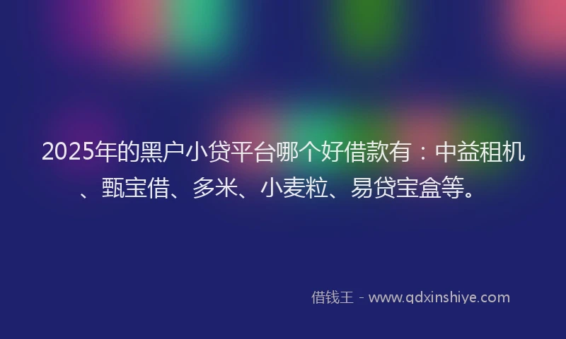 2025年的黑户小贷平台哪个好借款有：中益租机、甄宝借、多米、小麦粒、易贷宝盒等。