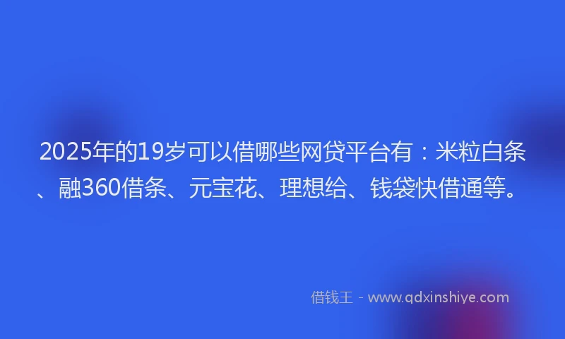 2025年的19岁可以借哪些网贷平台有：米粒白条、融360借条、元宝花、理想给、钱袋快借通等。