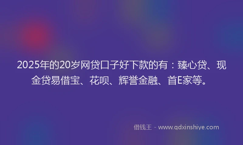 2025年的20岁网贷口子好下款的有：臻心贷、现金贷易借宝、花呗、辉誉金融、首E家等。