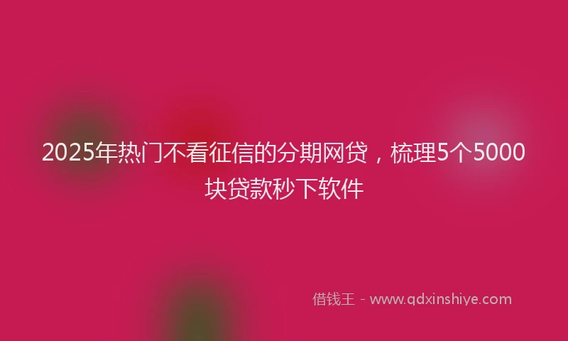 2025年热门不看征信的分期网贷，梳理5个5000块贷款秒下软件