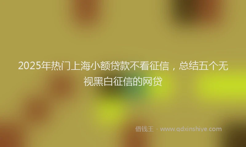 2025年热门上海小额贷款不看征信，总结五个无视黑白征信的网贷