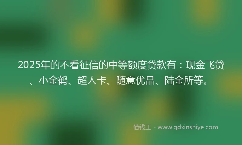 2025年的不看征信的中等额度贷款有：现金飞贷、小金鹤、超人卡、随意优品、陆金所等。