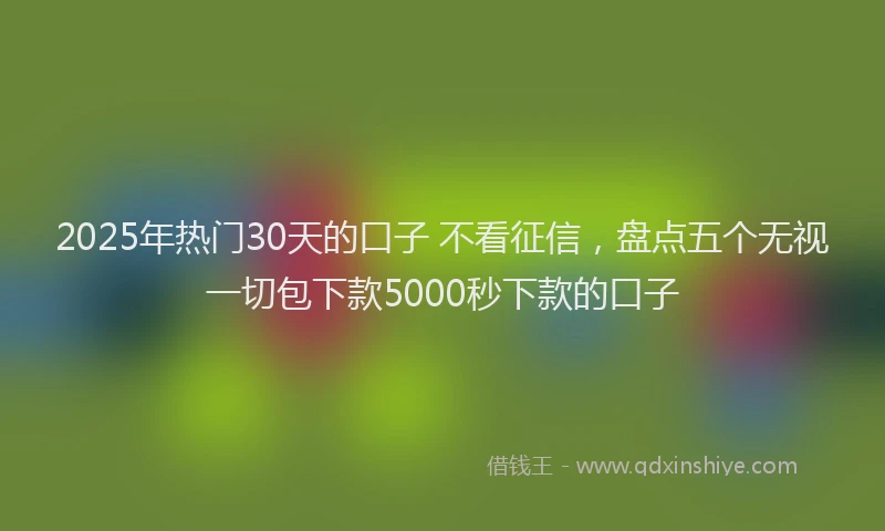 2025年热门30天的口子 不看征信，盘点五个无视一切包下款5000秒下款的口子