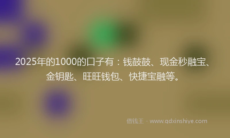 2025年的1000的口子有：钱鼓鼓、现金秒融宝、金钥匙、旺旺钱包、快捷宝融等。