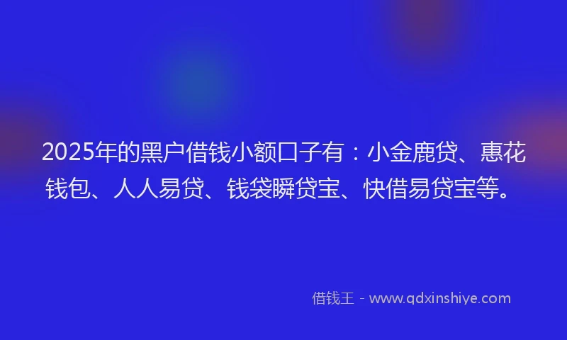 2025年的黑户借钱小额口子有：小金鹿贷、惠花钱包、人人易贷、钱袋瞬贷宝、快借易贷宝等。
