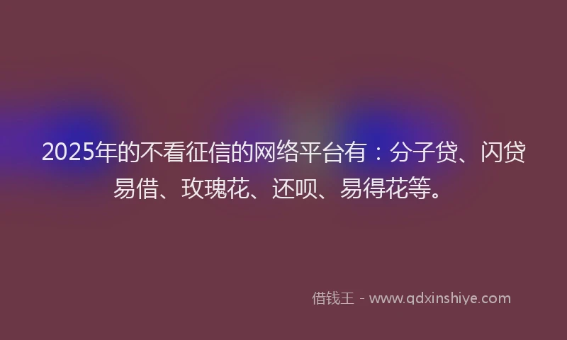 2025年的不看征信的网络平台有：分子贷、闪贷易借、玫瑰花、还呗、易得花等。