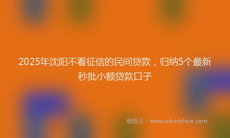 2025年沈阳不看征信的民间贷款，归纳5个最新秒批小额贷款口子