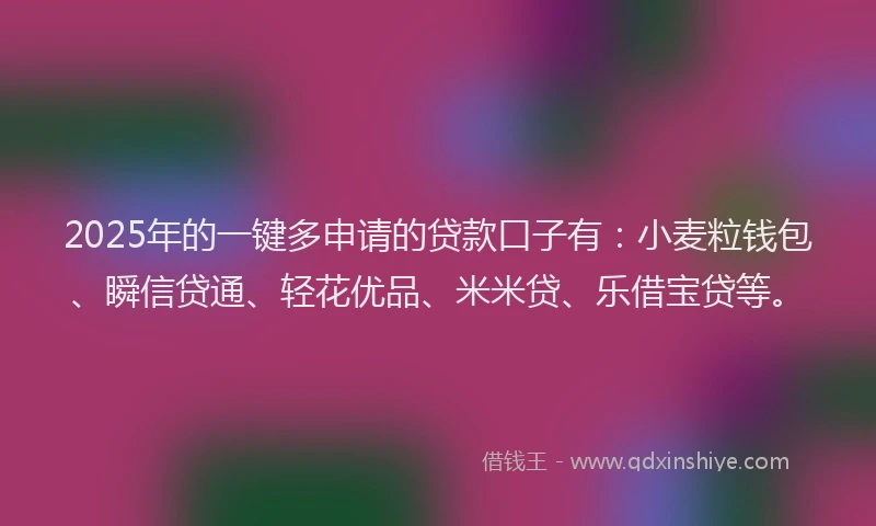 2025年的一键多申请的贷款口子有：小麦粒钱包、瞬信贷通、轻花优品、米米贷、乐借宝贷等。