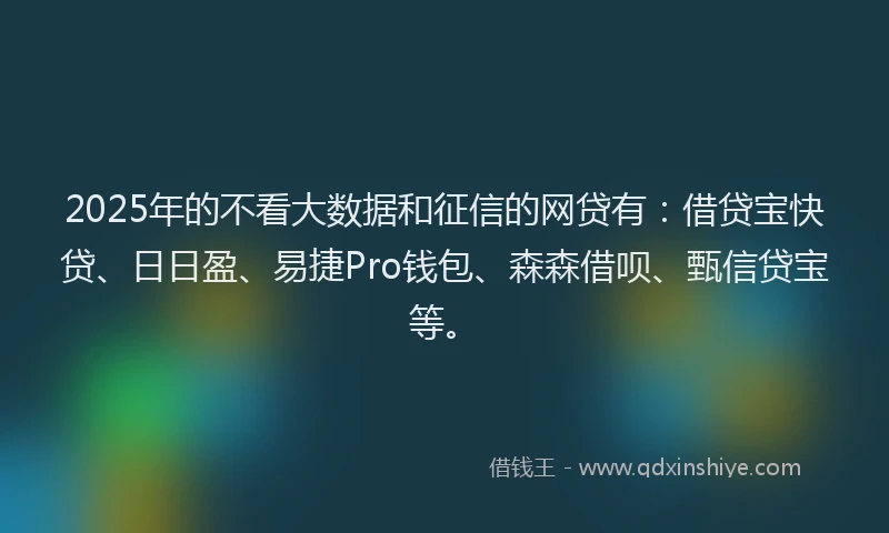 2025年的不看大数据和征信的网贷有：借贷宝快贷、日日盈、易捷Pro钱包、森森借呗、甄信贷宝等。