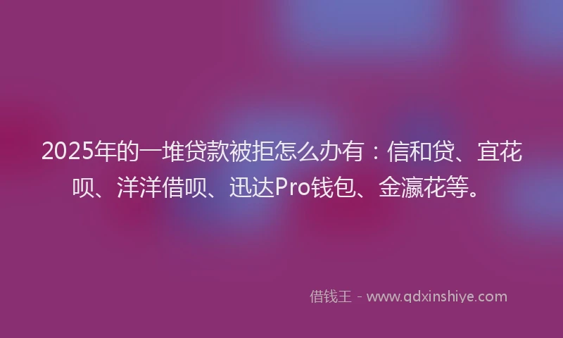 2025年的一堆贷款被拒怎么办有：信和贷、宜花呗、洋洋借呗、迅达Pro钱包、金瀛花等。