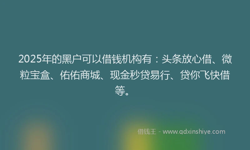 2025年的黑户可以借钱机构有：头条放心借、微粒宝盒、佑佑商城、现金秒贷易行、贷你飞快借等。