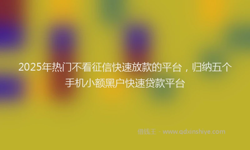 2025年热门不看征信快速放款的平台，归纳五个手机小额黑户快速贷款平台