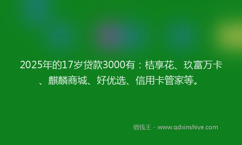 2025年的17岁贷款3000有：桔享花、玖富万卡、麒麟商城、好优选、信用卡管家等。