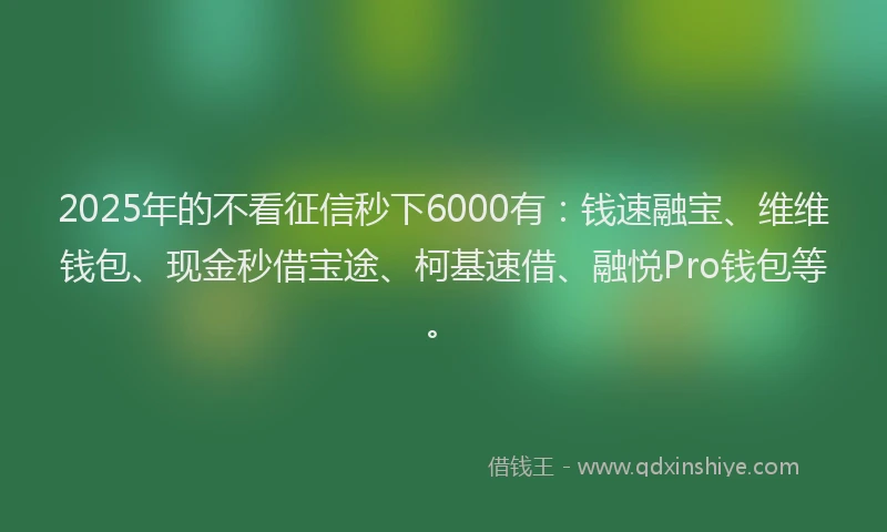 2025年的不看征信秒下6000有：钱速融宝、维维钱包、现金秒借宝途、柯基速借、融悦Pro钱包等。