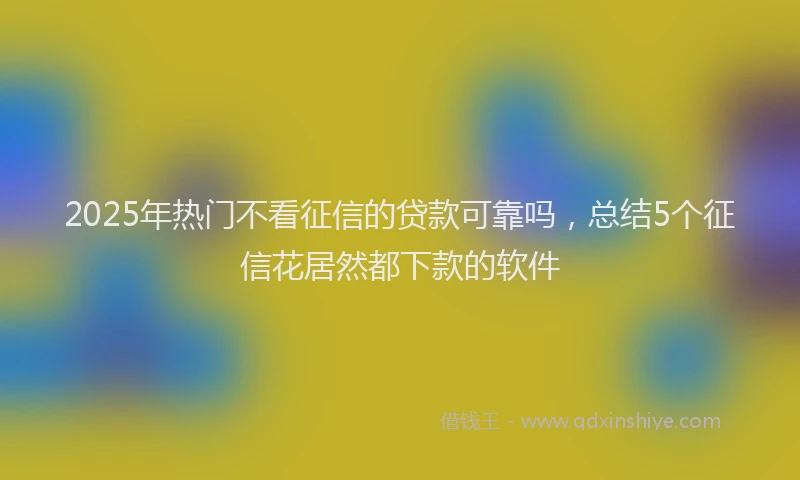 2025年热门不看征信的贷款可靠吗，总结5个征信花居然都下款的软件