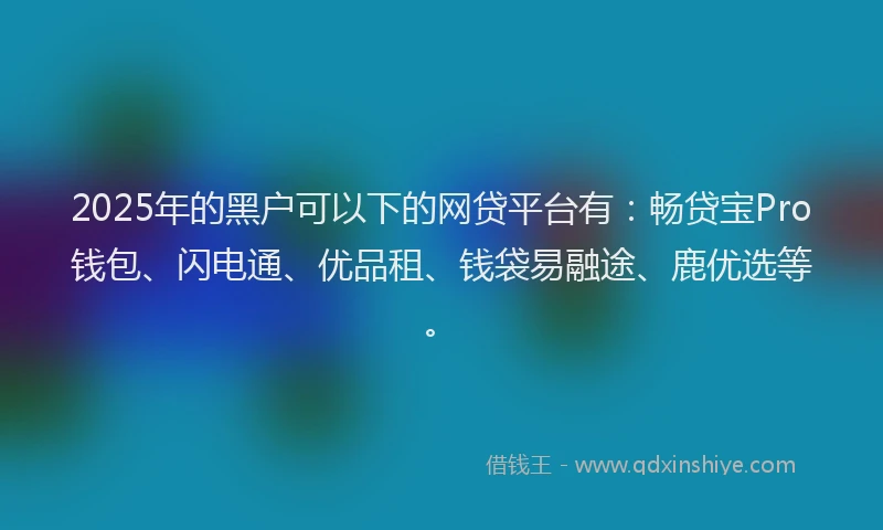 2025年的黑户可以下的网贷平台有：畅贷宝Pro钱包、闪电通、优品租、钱袋易融途、鹿优选等。