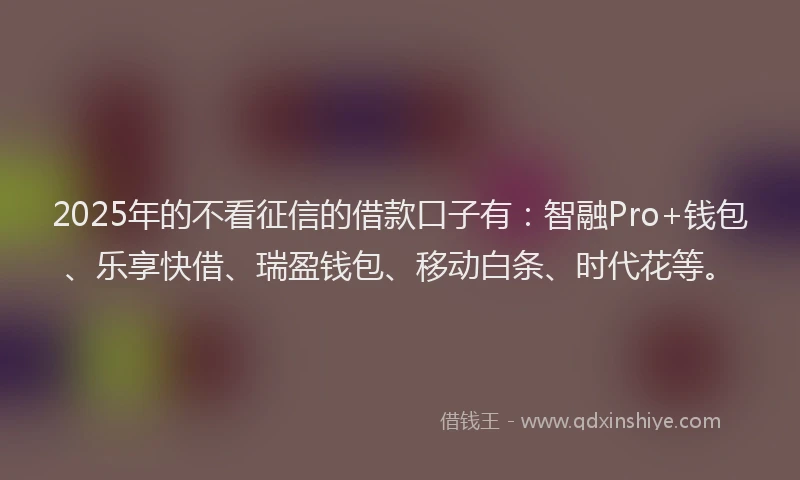 2025年的不看征信的借款口子有：智融Pro+钱包、乐享快借、瑞盈钱包、移动白条、时代花等。