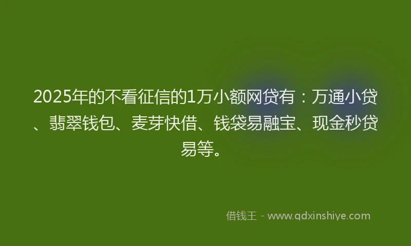 2025年的不看征信的1万小额网贷有：万通小贷、翡翠钱包、麦芽快借、钱袋易融宝、现金秒贷易等。