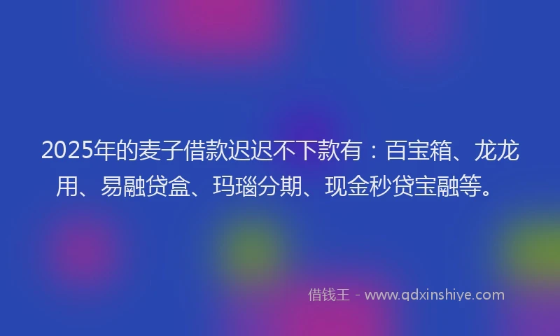 2025年的麦子借款迟迟不下款有：百宝箱、龙龙用、易融贷盒、玛瑙分期、现金秒贷宝融等。