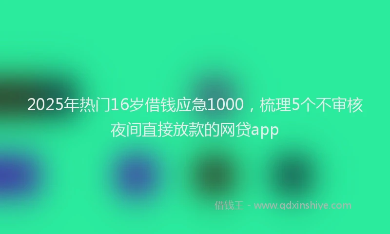 2025年热门16岁借钱应急1000，梳理5个不审核夜间直接放款的网贷app