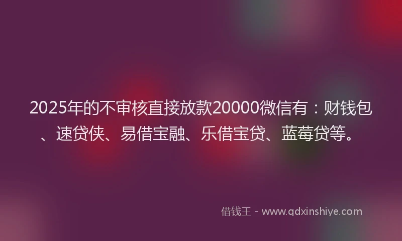 2025年的不审核直接放款20000微信有：财钱包、速贷侠、易借宝融、乐借宝贷、蓝莓贷等。