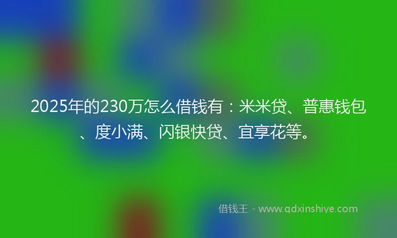 2025年的230万怎么借钱有：米米贷、普惠钱包、度小满、闪银快贷、宜享花等。