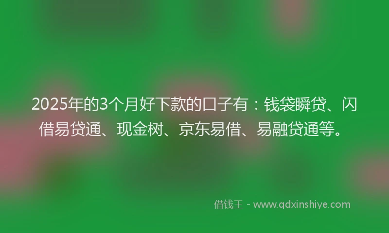 2025年的3个月好下款的口子有：钱袋瞬贷、闪借易贷通、现金树、京东易借、易融贷通等。