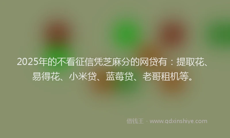 2025年的不看征信凭芝麻分的网贷有：提取花、易得花、小米贷、蓝莓贷、老哥租机等。