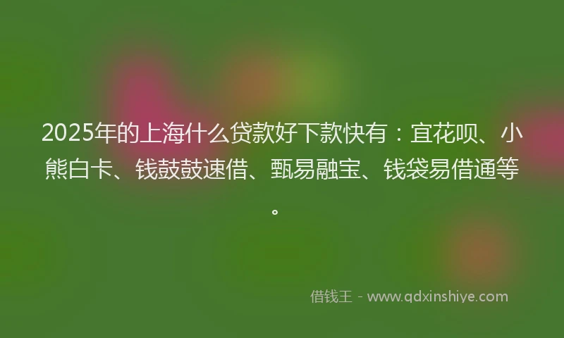 2025年的上海什么贷款好下款快有：宜花呗、小熊白卡、钱鼓鼓速借、甄易融宝、钱袋易借通等。