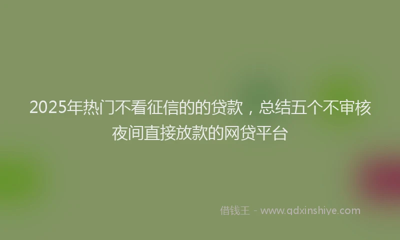 2025年热门不看征信的的贷款,总结五个不审核夜间直接放款的网贷平台