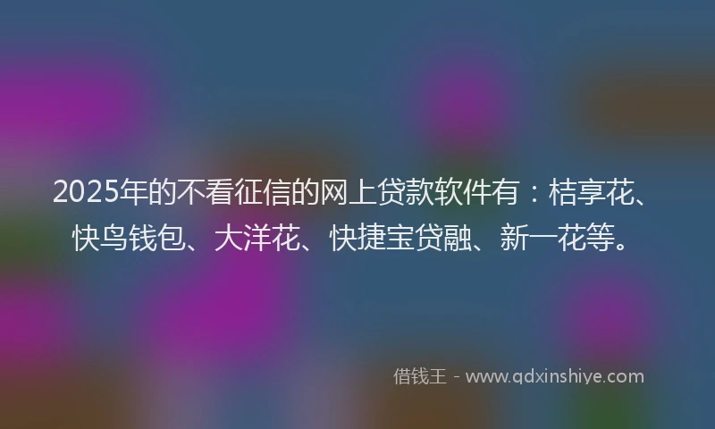 2025年的不看征信的网上贷款软件有：桔享花、快鸟钱包、大洋花、快捷宝贷融、新一花等。